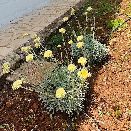 Dimora Bianchemura Ostuni Luaran gambar