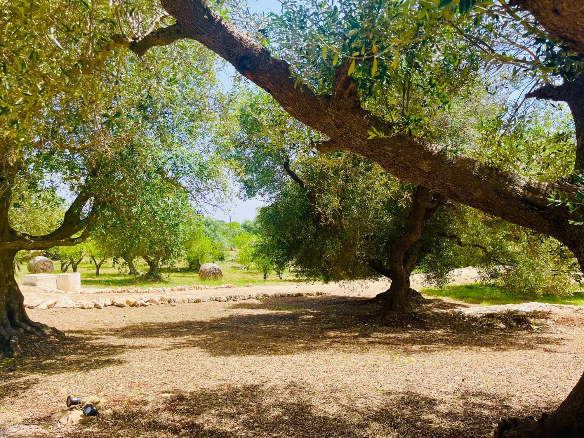Dimora Bianchemura Ostuni Luaran gambar