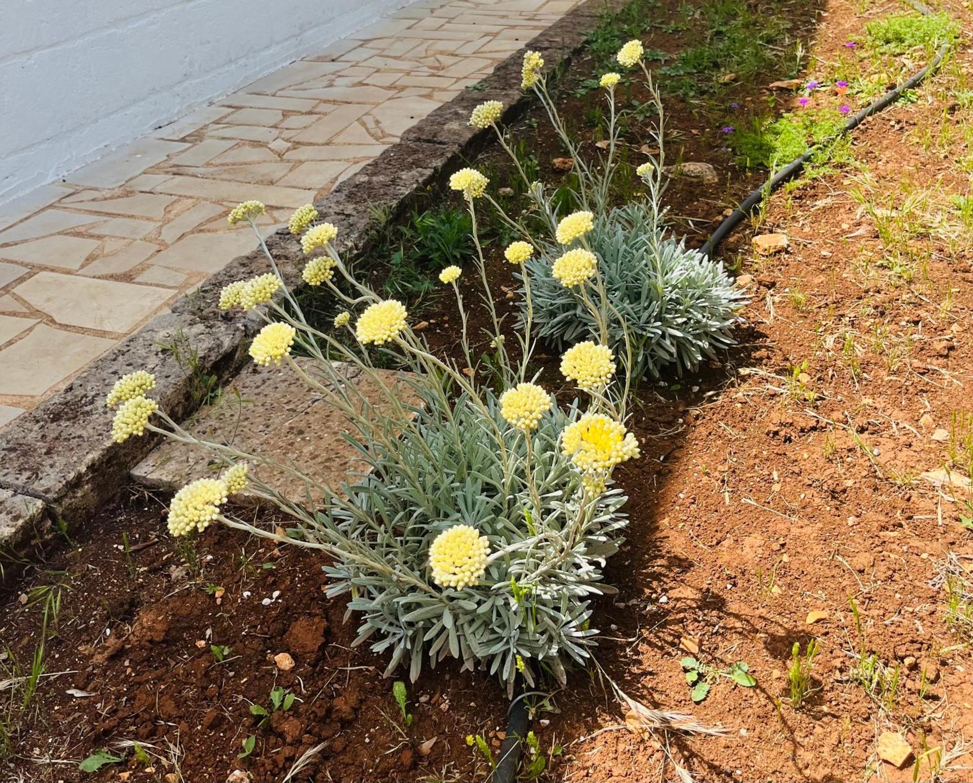 Dimora Bianchemura Ostuni Luaran gambar