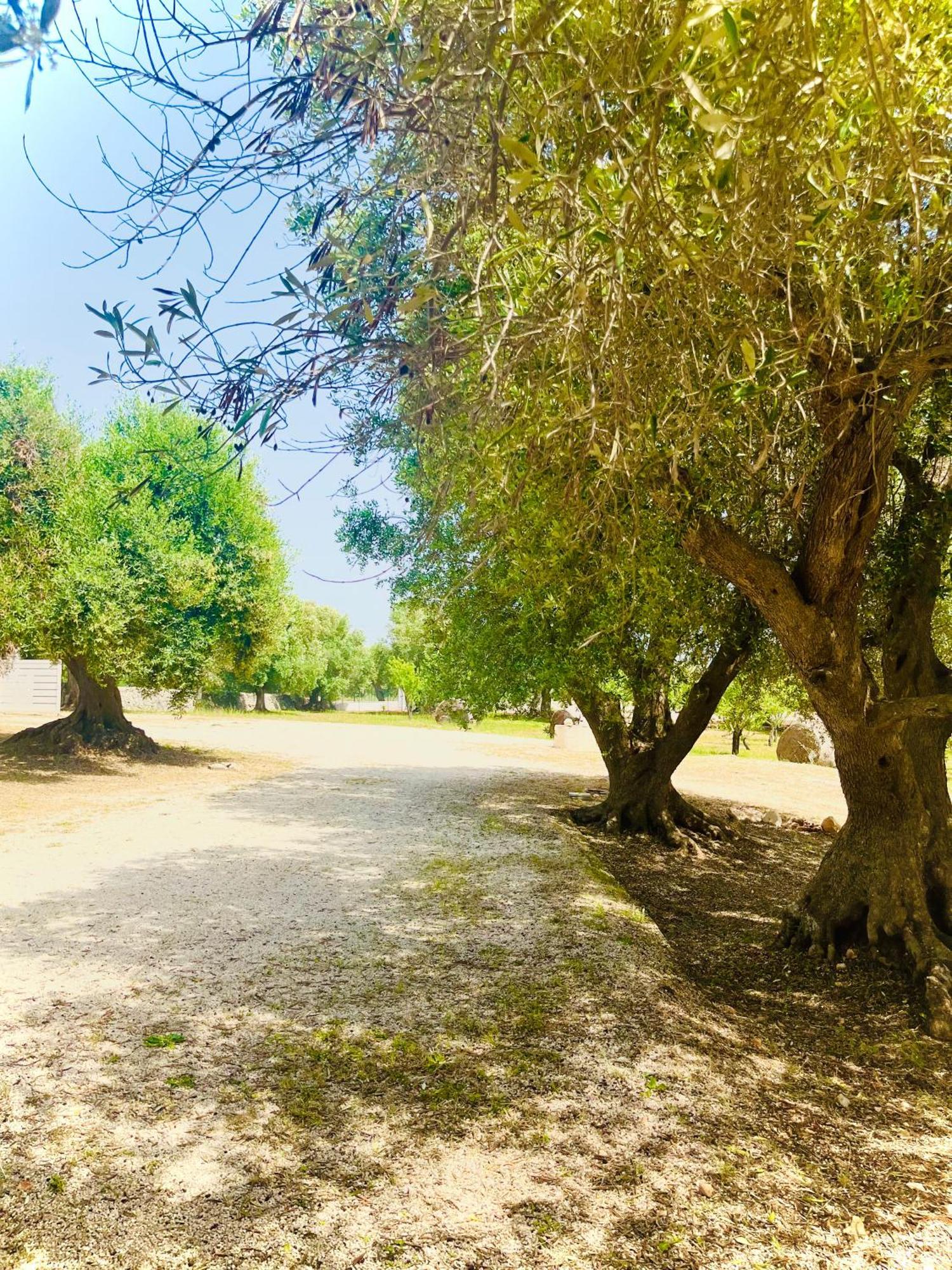 Dimora Bianchemura Ostuni Luaran gambar